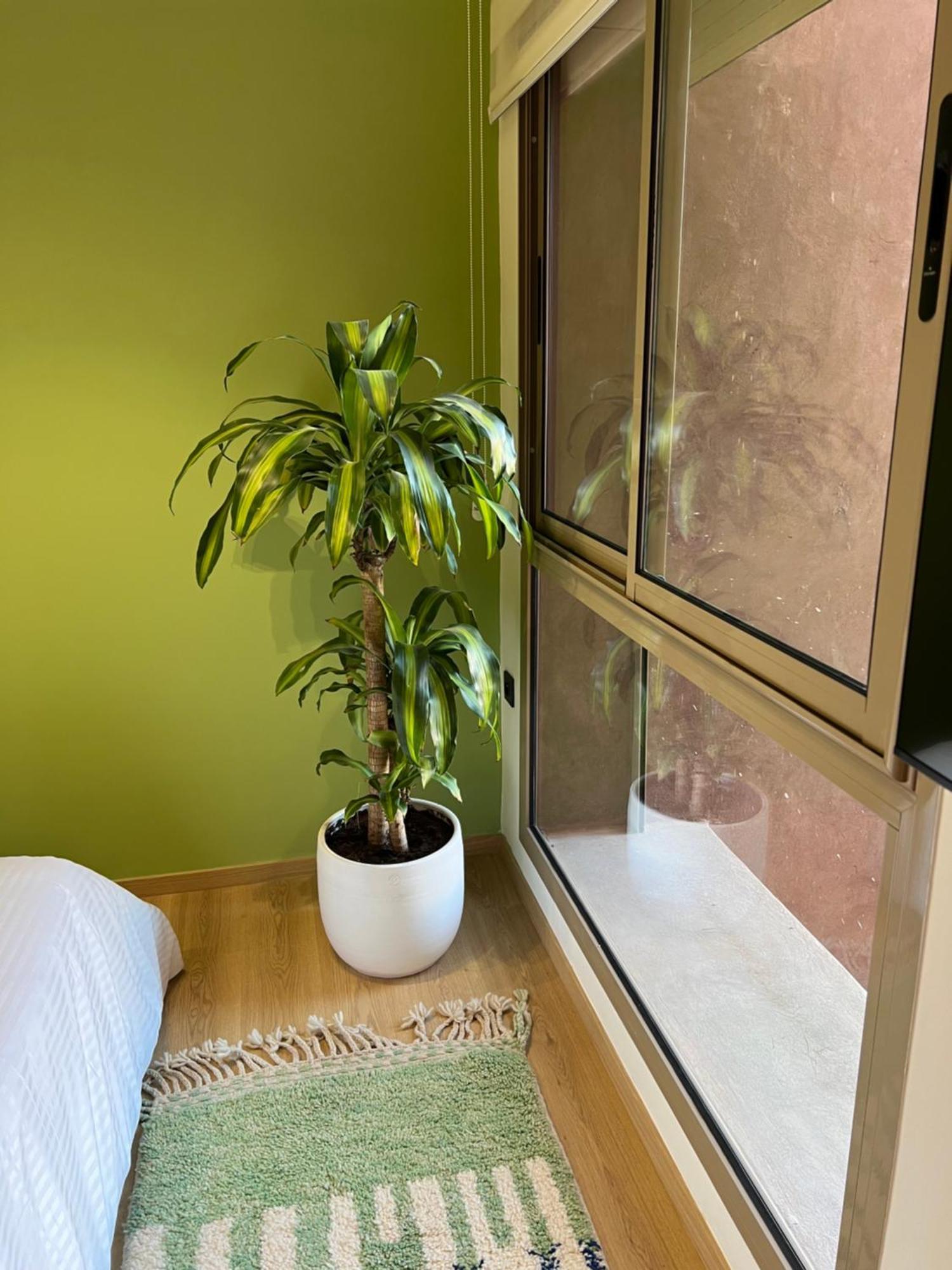Luxe Appartement A Louer Pour Les Familles 마라케시 외부 사진